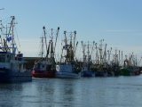 Fischkutter nebeneinander im Hafen